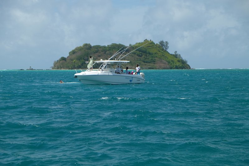 excursions-mahe-glass-bottom-boat-park-marin-8  (©  Seychelles Reservations)