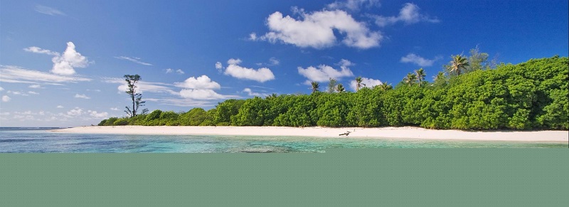 seychelles-booking-beach-vue1-Bird-Island  (©  Seychelles Reservations)