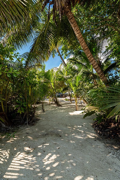 seychelles-booking-bliss-hotel-beach3  (©  Seychelles Reservations)