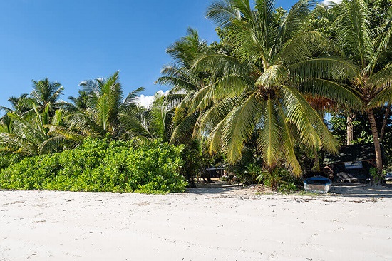 seychelles-booking-bliss-hotel-beach7  (©  Seychelles Reservations)