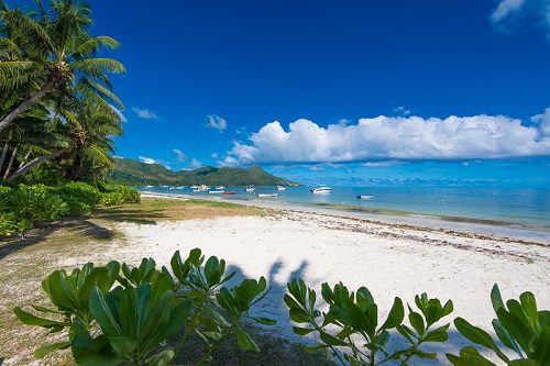 seychelles-booking-le-tropique-villa-beach1  (©  Seychelles Reservations)