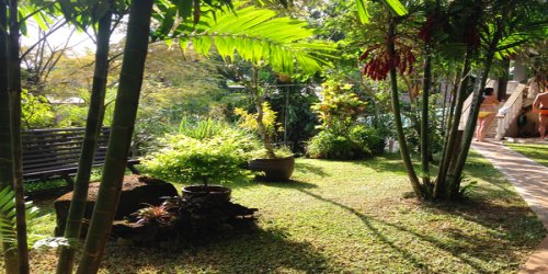 seychelles-booking-romance-bungalow-garden1  (©  Seychelles Reservations)