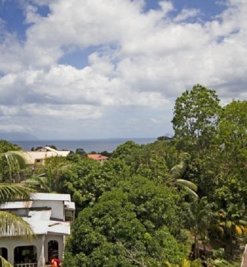 seychelles-booking-the-palm-seychelles-view3  (©  Seychelles Reservations)