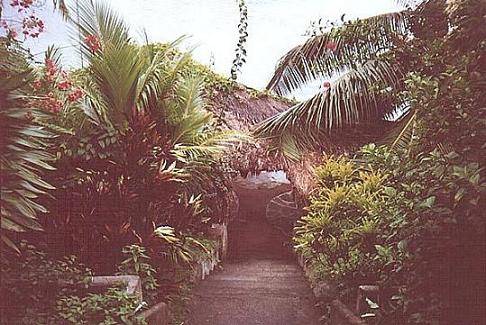 seychelles-colibri-jardin  (© Vision Voyages TN / Colibri Guest House )