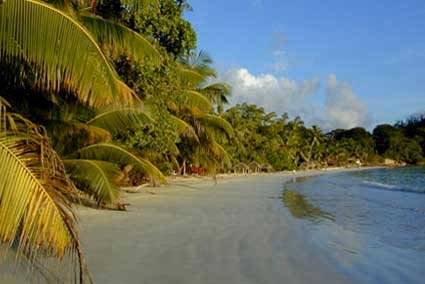 seychelles-laurier-guesthouse-plage  (© Vision Voyages TN / Les Lauriers Hotel et Restaurant)