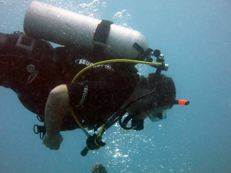 seychelles-mahe-blue-sea-divers-decouverte-12  (©  Seychelles Reservations)