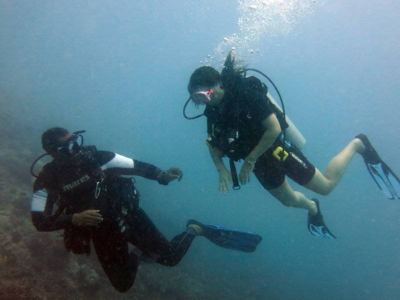 seychelles-mahe-blue-sea-divers-decouverte-14  (©  Seychelles Reservations)