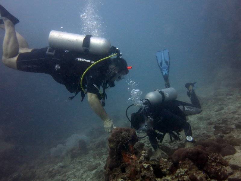 seychelles-mahe-blue-sea-divers-decouverte-17  (©  Seychelles Reservations)