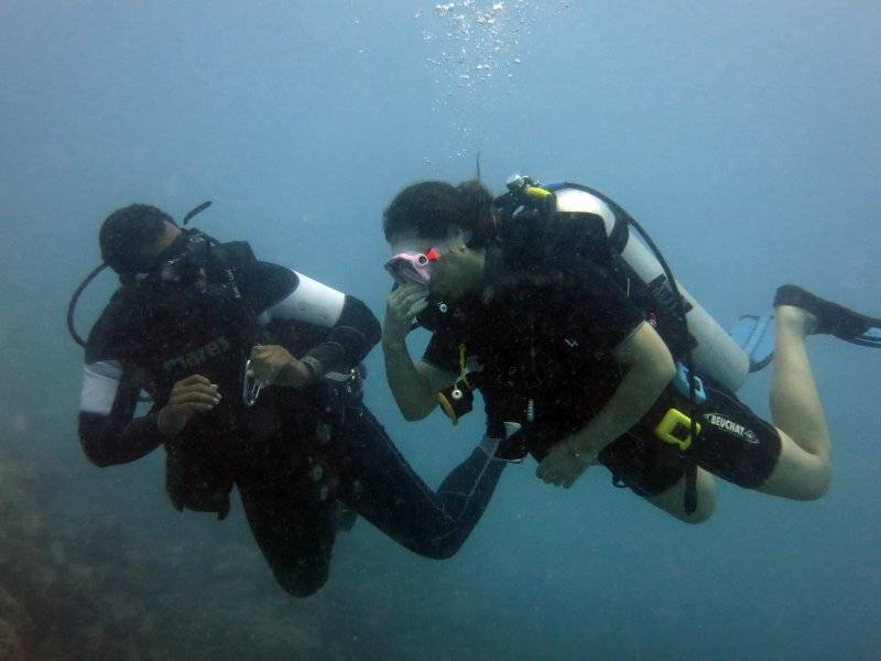 seychelles-mahe-blue-sea-divers-decouverte-29  (©  Seychelles Reservations)