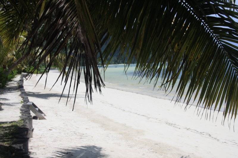 seychelles-praslin-indian-ocean-lodge-plage  (©  Seychelles Reservations)