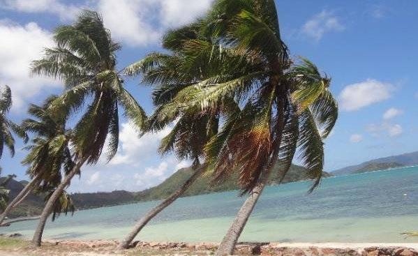 seychelles-praslin-le-cocotier-plage2  (© Island Experience - Le Cocotier / Le Cocotier)
