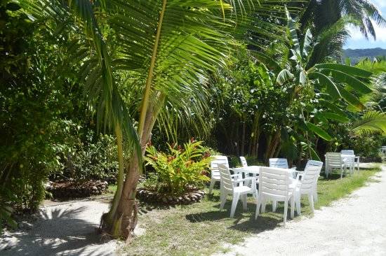 seychelles-villa-veuve-garden-1  (©  Seychelles Reservations)